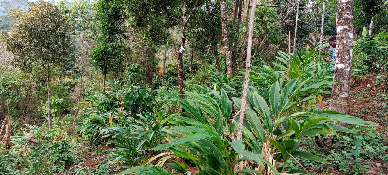 Munnar Tent Hills Resort Devikolam Exterior foto
